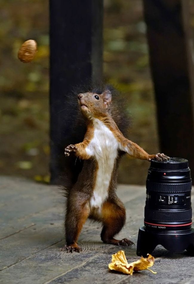 Fotografías sacadas en el momento perfecto