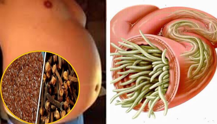 Nopalina linaza para adelgazar abdomen