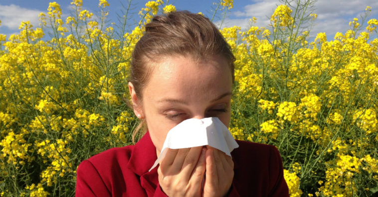 remedios caseros para la alergia