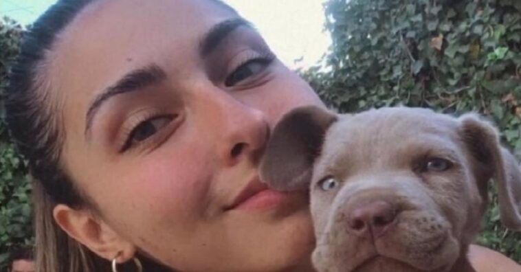 rifa con la esperanza de volver a ver a su perro corriendo