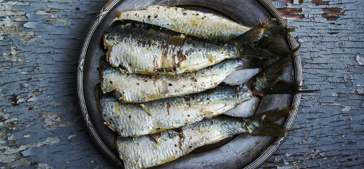 sardinas