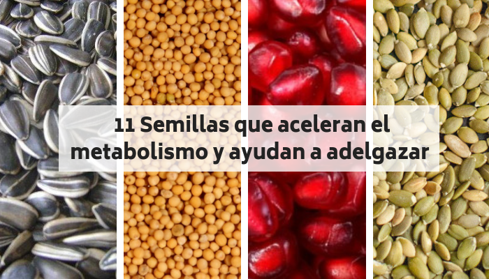 semillas naturales para adelgazar rapidose