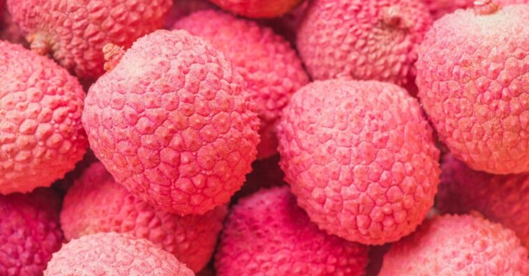 litchi