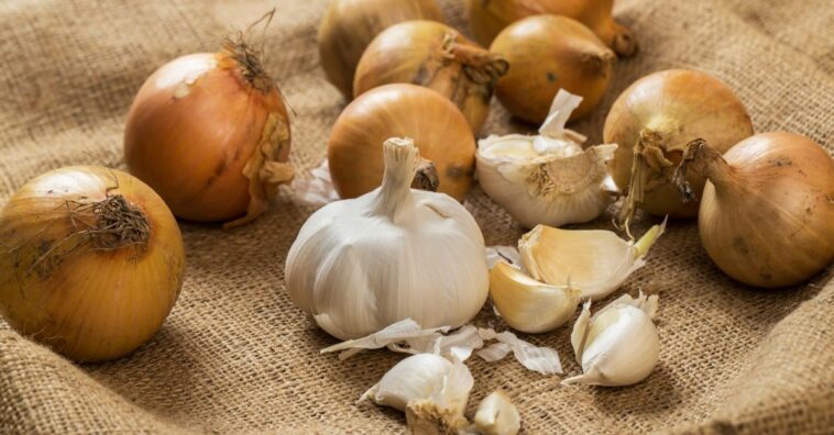 Espray de cáscaras de ajo y cebolla para tratar las plagas del jardín