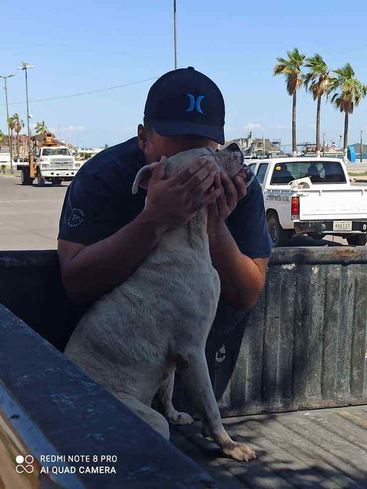 Tutor lleva a su perro enfermo a dar un último paseo y se emociona