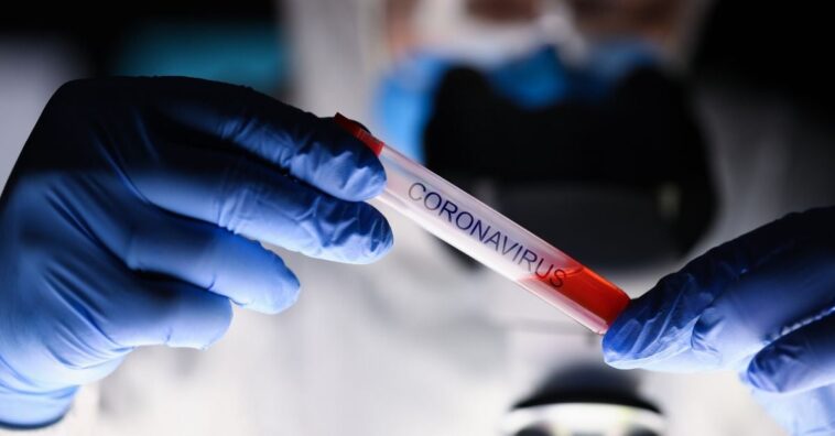 vacuna contra el coronavirus