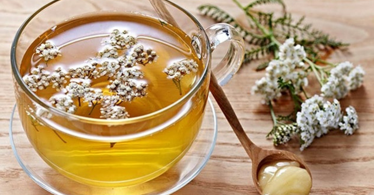 Valeriana qué es, para qué sirve y cuáles son sus propiedades