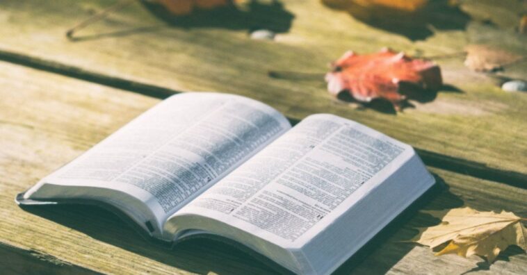 Versículos de la Biblia que muestran que Dios tiene el control de tu vida