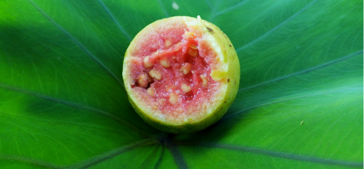 vitaminas para el pelo guayaba